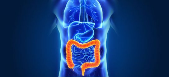 Gastrointestinal Cancer - West Cancer Center